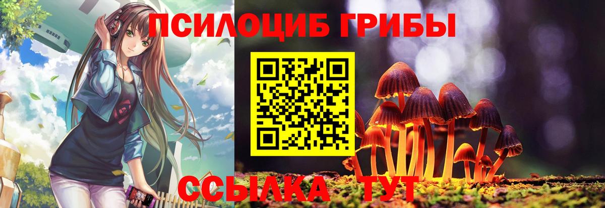 Alpha-PVP СК   Вход с VPN  ГАШ  МАРИХУАНА  Купить наркотики  LSD-25  Донецк  Меф МЯУ МЯУ  