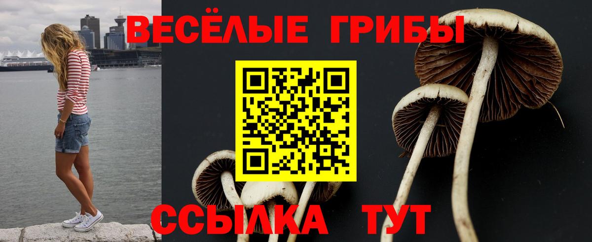 Псилоцибиновые грибы Magic Shrooms Донецк