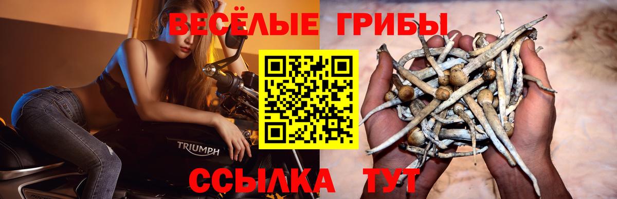 купить наркоту  Псилоцибиновые грибы мухоморы  Вход с VPN  Донецк 